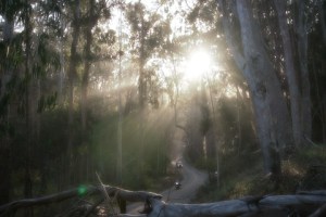 ????????????????????????????????????????