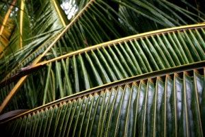 ??????????????????????????????????????????????????????????????????????????????????????????